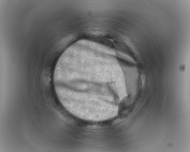X0000090720259200708171932