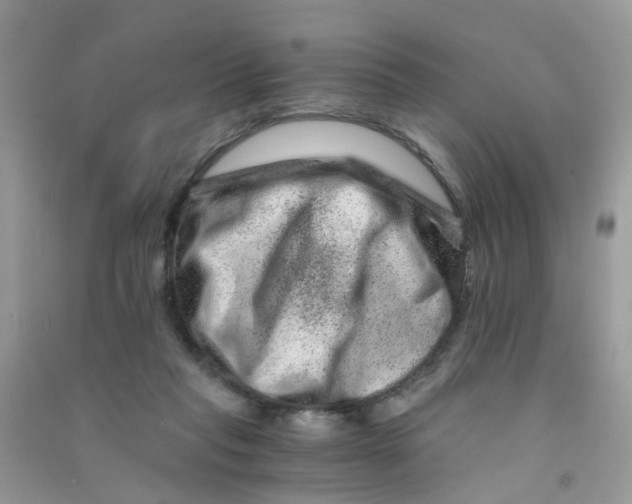 X0000090720261200708171932