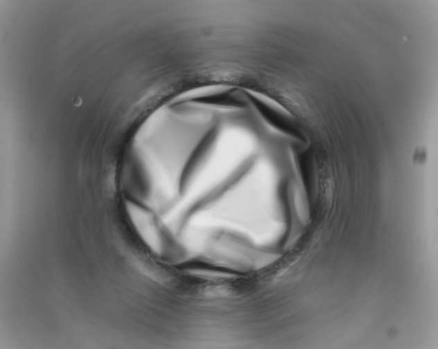 X0000090720262200708171932
