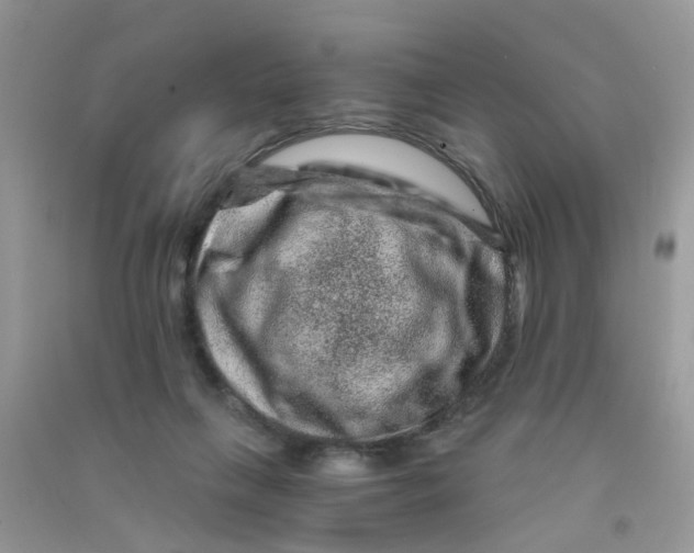 X0000090720263200708171932