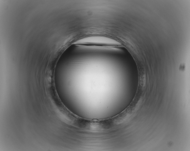 X0000090720264200708171932