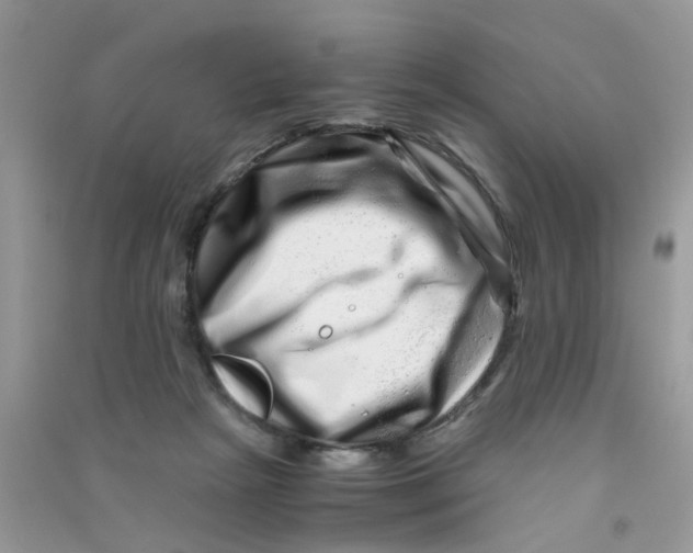 X0000090720265200708171932