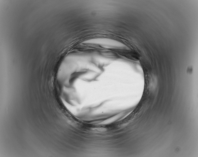 X0000090720266200708171932