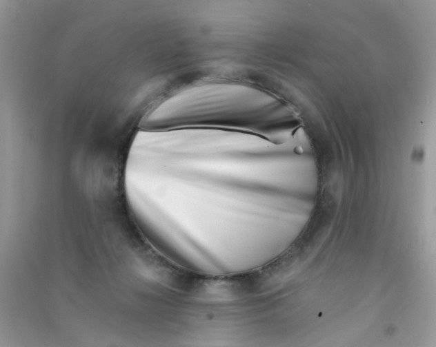 X0000090720268200708171933