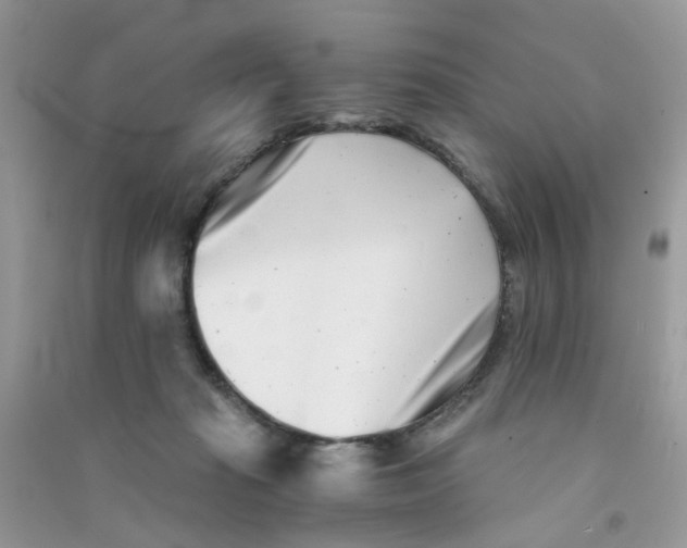 X0000090720269200708171933