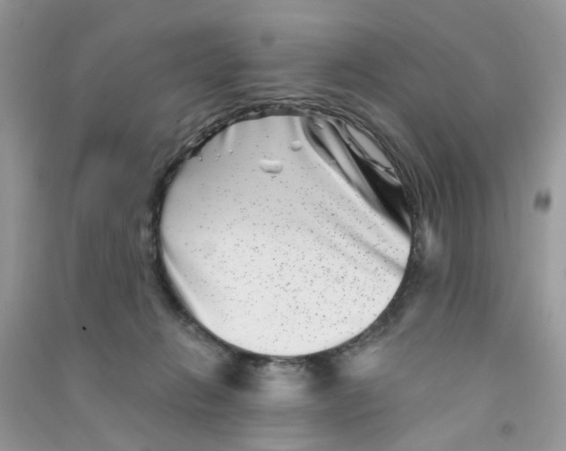 X0000090720270200708171933