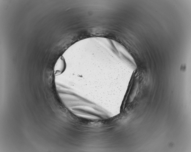 X0000090720271200708171933