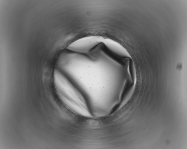 X0000090720272200708171933