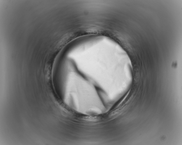 X0000090720273200708171933