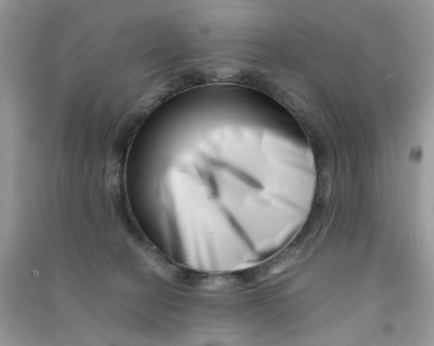 X0000090720274200708171933