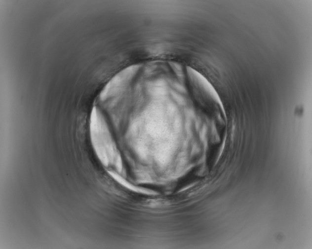 X0000090720275200708171933