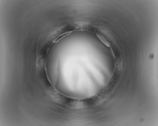 X0000090720276200708171933