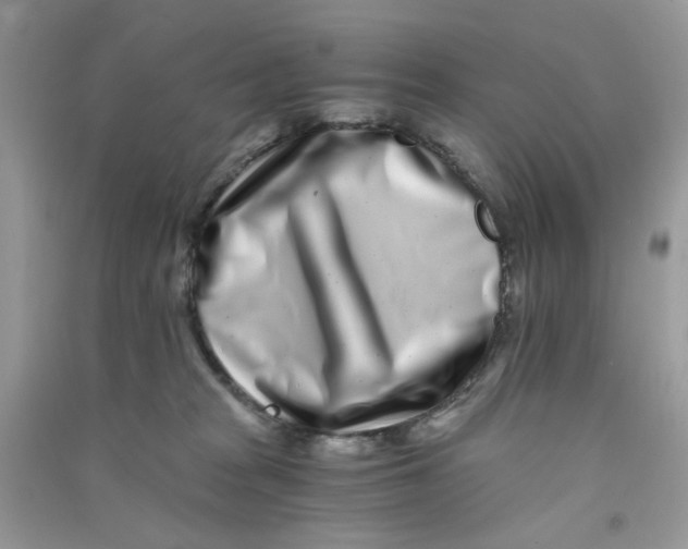 X0000090720277200708171933