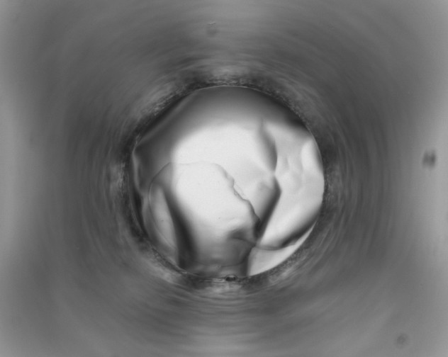X0000090720278200708171933