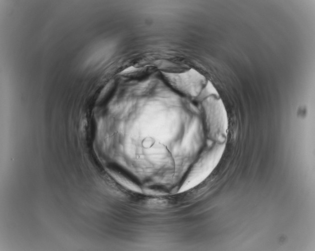 X0000090720279200708171933