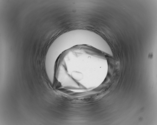 X0000090720280200708171933