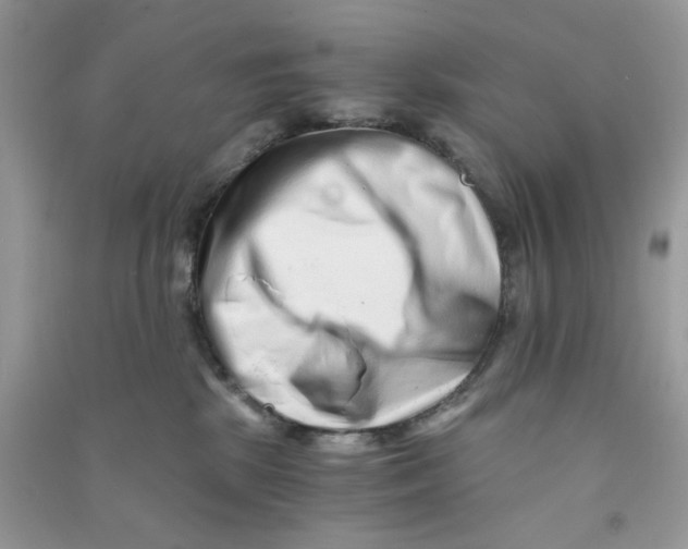 X0000090720281200708171933