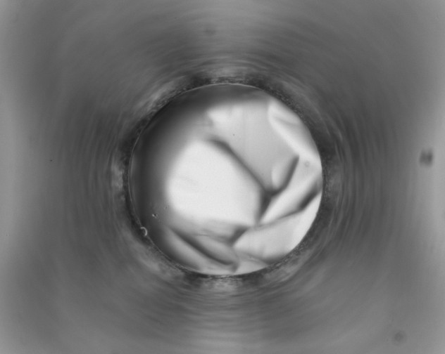 X0000090720282200708171933