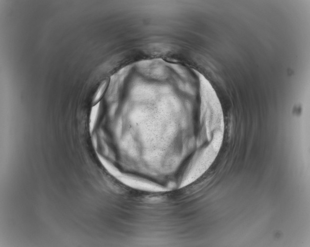 X0000090720283200708171933