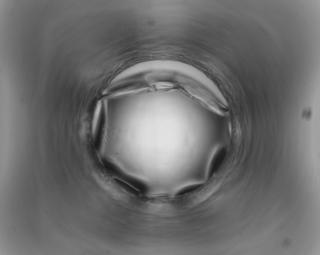 X0000090720284200708171933