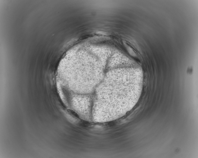 X0000090720285200708171933