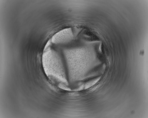 X0000090720286200708171933