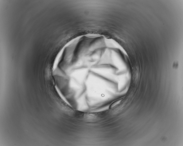 X0000090720287200708171933