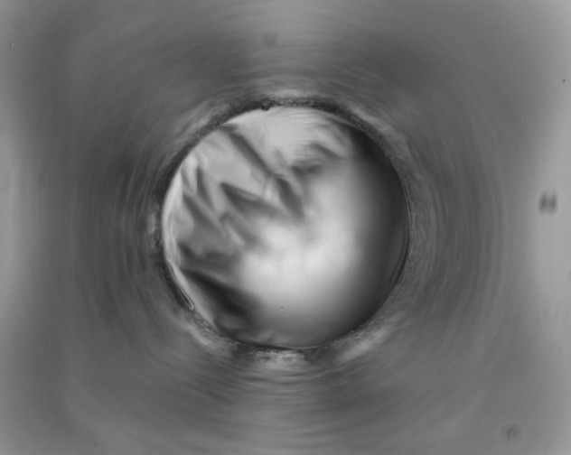 X0000090720288200708171933