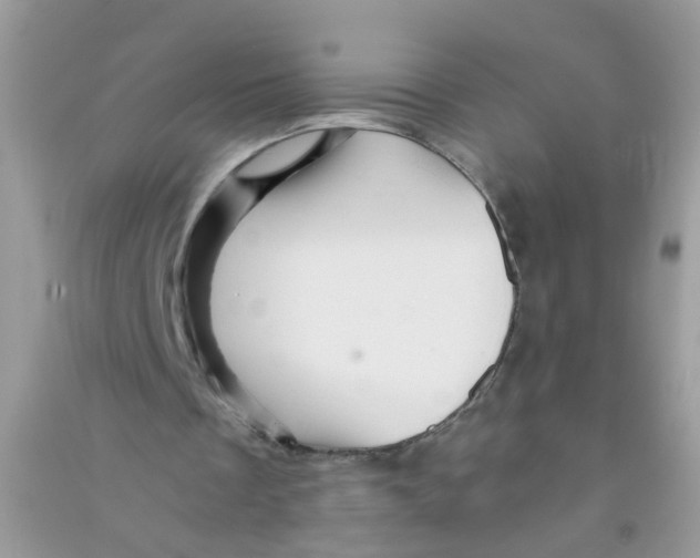 X0000090720289200708171932