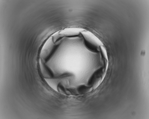 X0000090720290200708171932