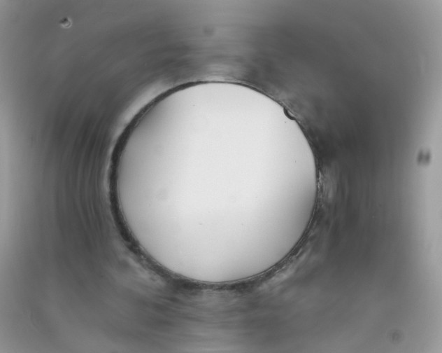 X0000090720292200708171932