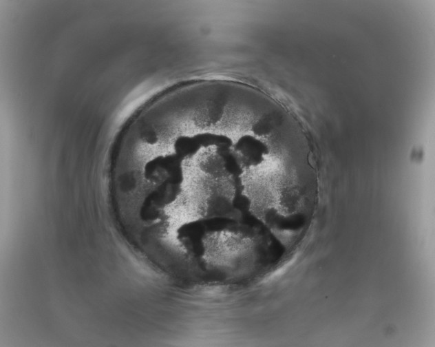 X0000090720295200708171932