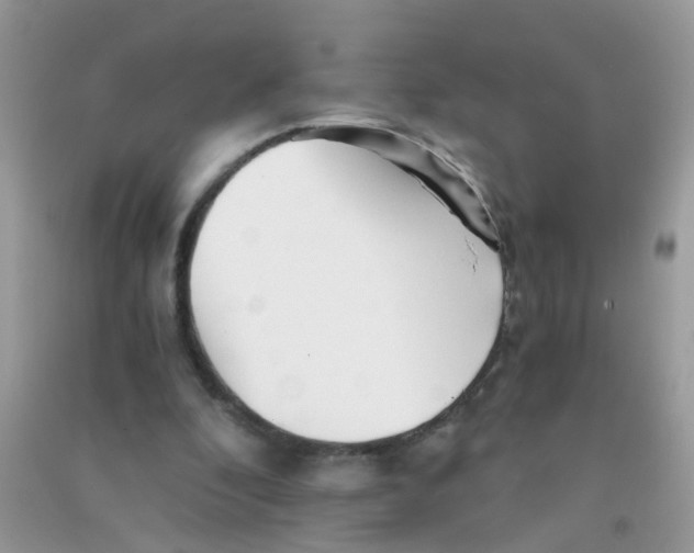X0000090720296200708171932