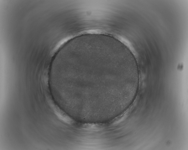 X0000090720297200708171932