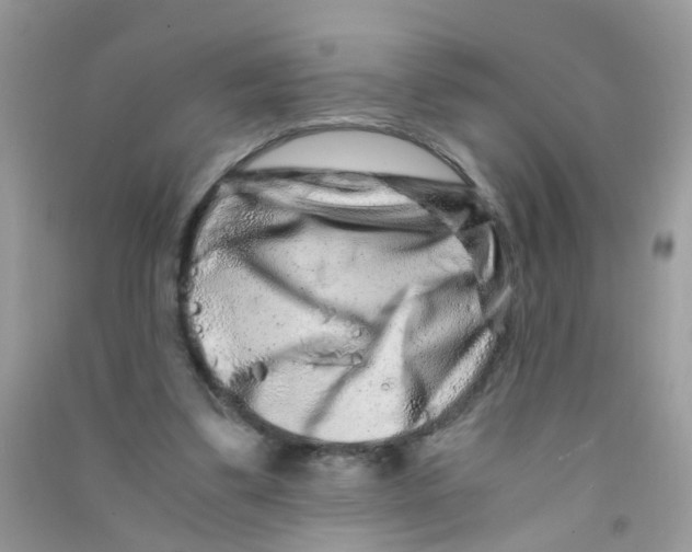 X0000090720299200708171932