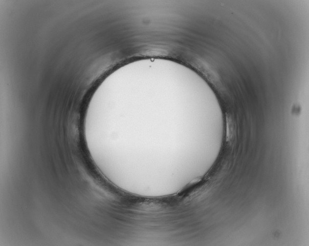 X0000090720300200708171932