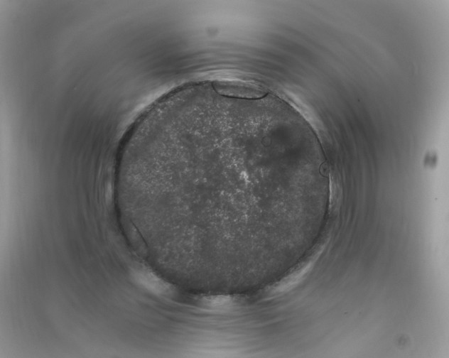 X0000090720301200708171932