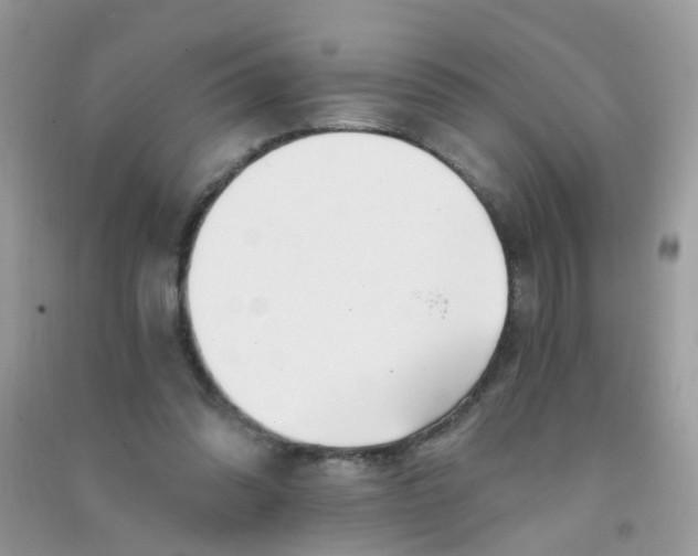X0000090720302200708171932