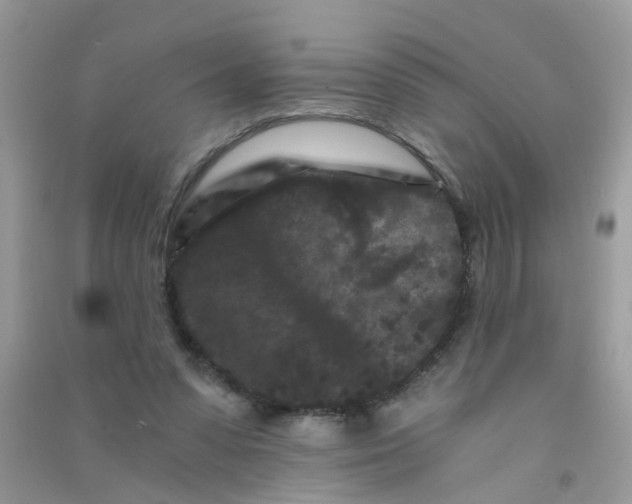 X0000090720303200708171932