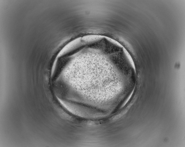X0000090720305200708171932