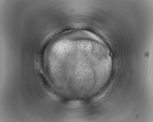 X0000090720307200708171932