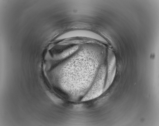 X0000090720309200708171932