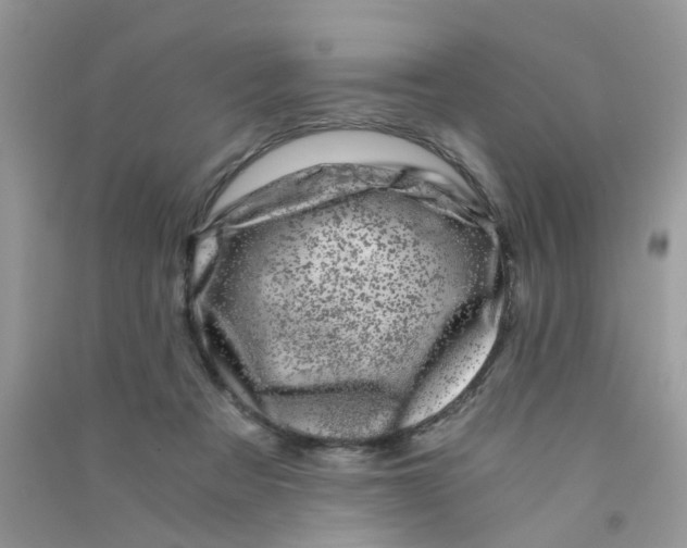 X0000090720313200708171932