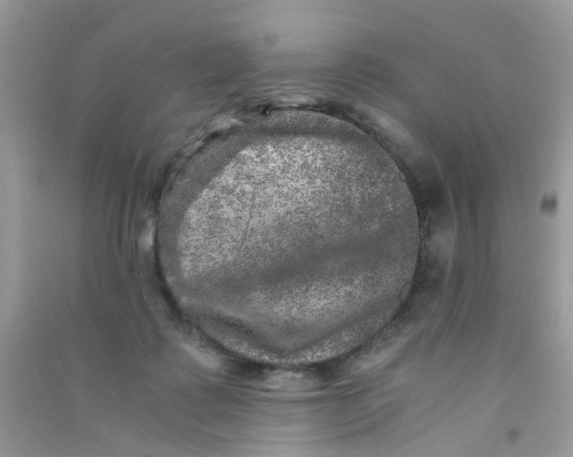 X0000090720315200708171932