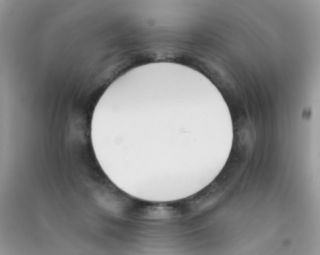 X0000090720316200708171932