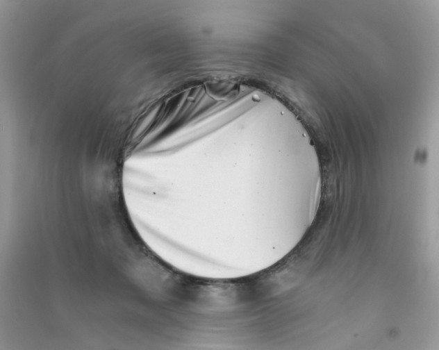 X0000090720317200708171932