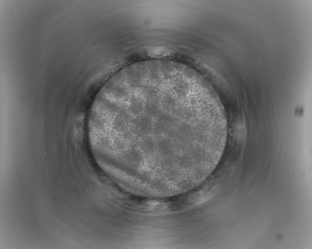 X0000090720319200708171932