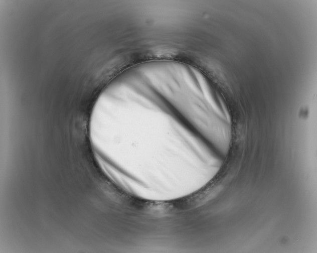 X0000090720321200708171932