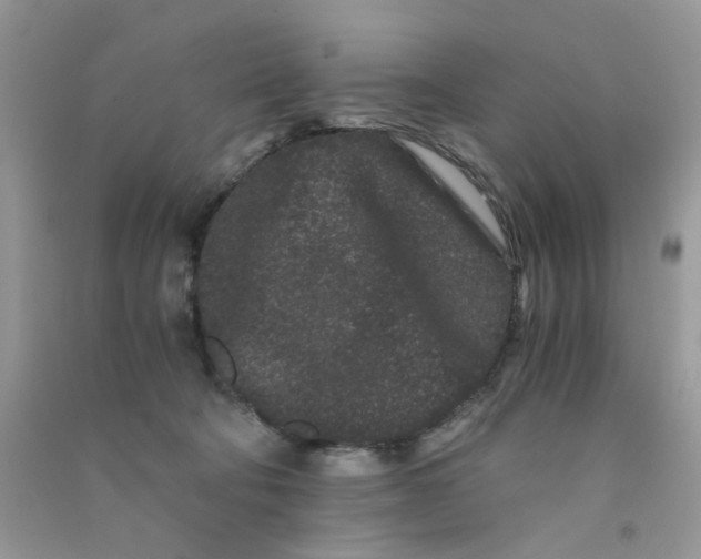 X0000090720322200708171932