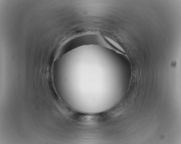 X0000090720323200708171931